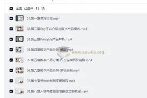 Etsy AI定制+跨境电商 从0到1打造高客单价数字产品店铺 零基础也能快速上手