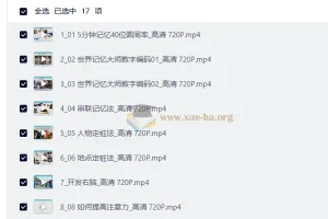 最强大脑100天记忆特训-右脑绘图记忆系统