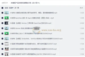 AI编程产品出海实战领航计划（从 0 到 1）