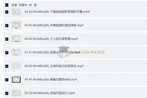 WorkBuddy 全套 AI 提效实战课：Codex + OpenClaw 自定义 Skill 全教程