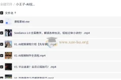 小王子 AI视频从0到1系统课