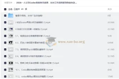2026一人公司Codex智能体实战课