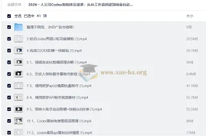 2026一人公司Codex智能体实战课