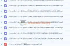 锁定中考高分 中考英语 从句全解析