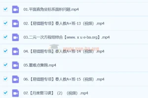 【2024 A+ 寒假春季班 】初一数学培训班（徐丝雨）