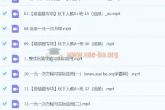 【2024A+ 秋季班 下 】初一数学培训班（徐丝雨）