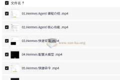 Hermes Agent智能体全维度实战课程