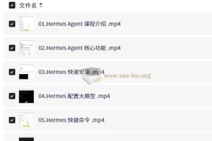 Hermes Agent智能体全维度实战课程
