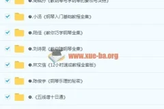 最全0基础钢琴学习视频教程，全方位自学入门电子琴初中高级别课程110G