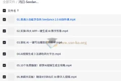 鸿启 Seedance2.0超级个体训练营