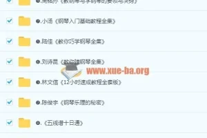 最全0基础钢琴学习视频教程，全方位自学入门电子琴初中高级别课程110G