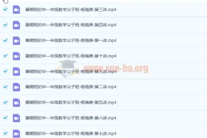 杨海庚 2017暑 初一数学暑假尖子班 10讲完结