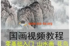 国画视频培训教程自学高清零基础教学入门花鸟山水画水墨技法设计