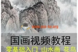 国画视频培训教程自学高清零基础教学入门花鸟山水画水墨技法设计
