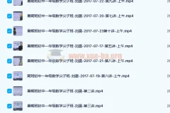刘晨 2017暑 初一数学暑假尖子班 10讲带讲义