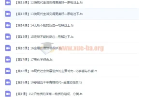 19800元高考名师机器人课程：刘志化学