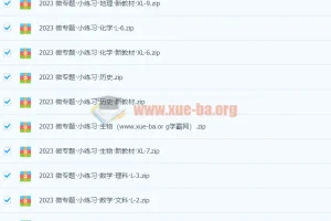 2024高中全科 微专题·小练习