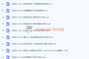 2024年高三高考数学 肖晗数学 一轮 A+暑假班